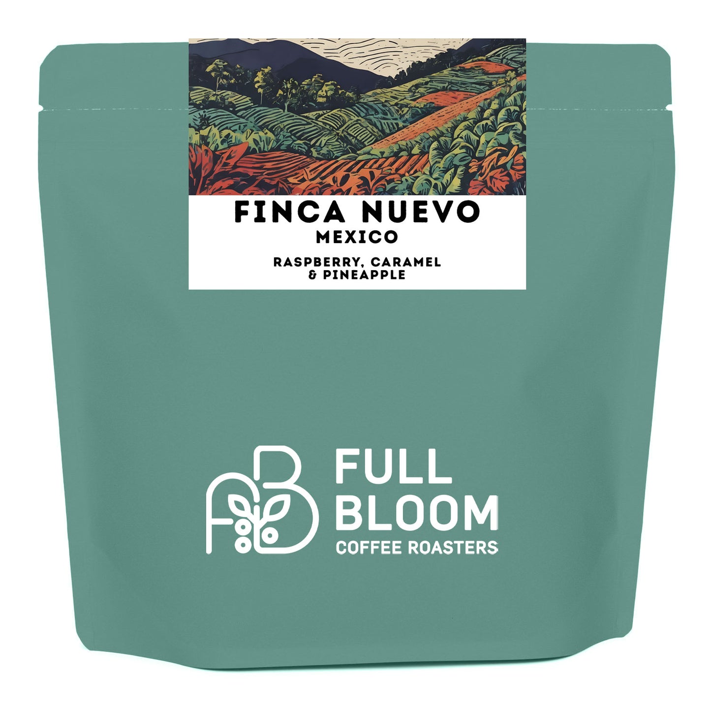 Mexico - Finca Nuevo